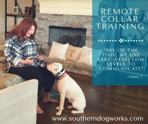 southern_dogworks_remote_collar